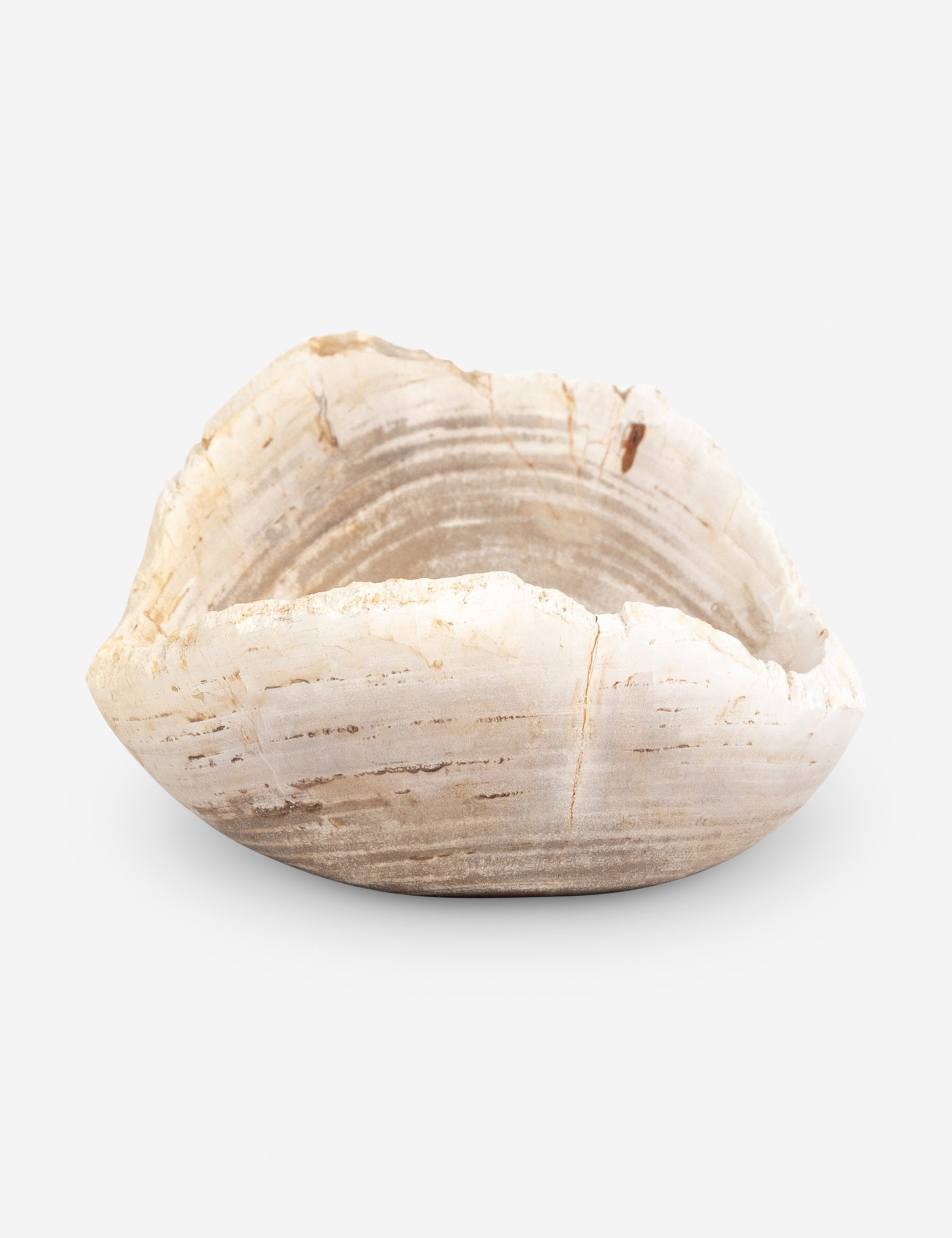 Noki Petrified Wood Bowl