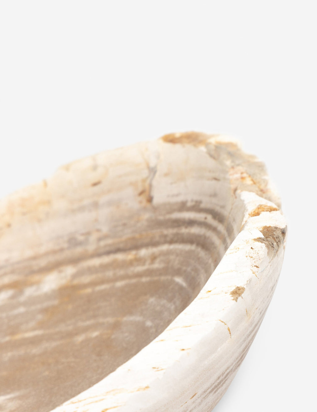 Noki Petrified Wood Bowl