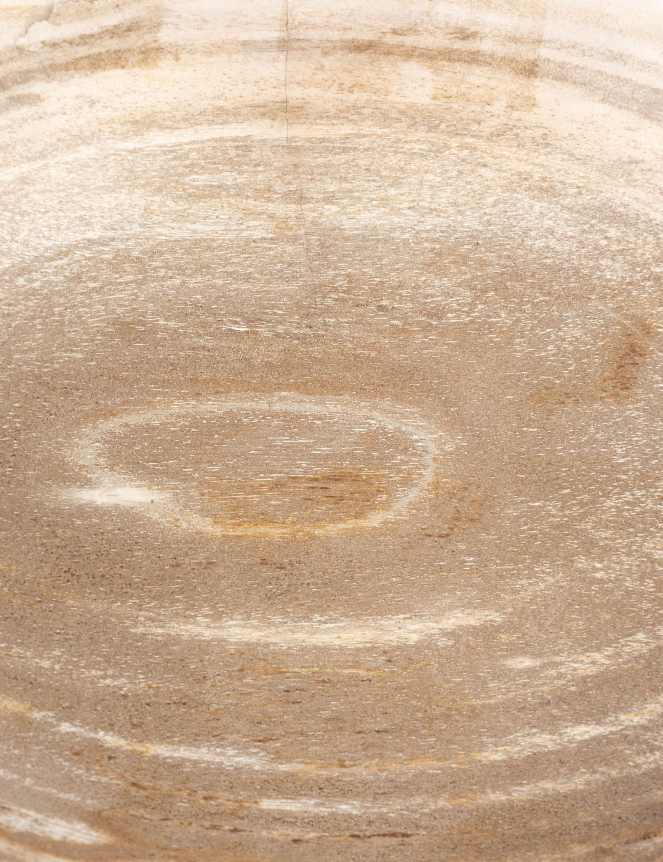 Noki Petrified Wood Bowl